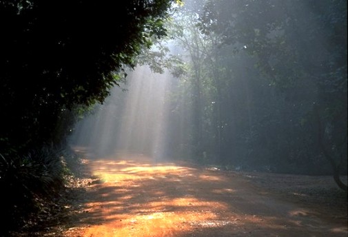 Dream - auroville.org