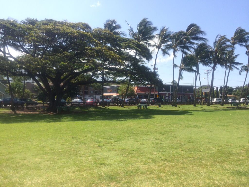 20140414-100040.jpg