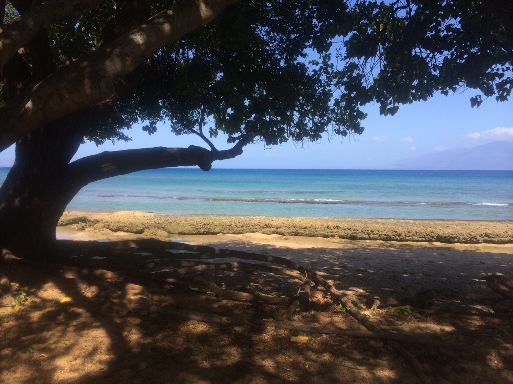 20140414-100051.jpg