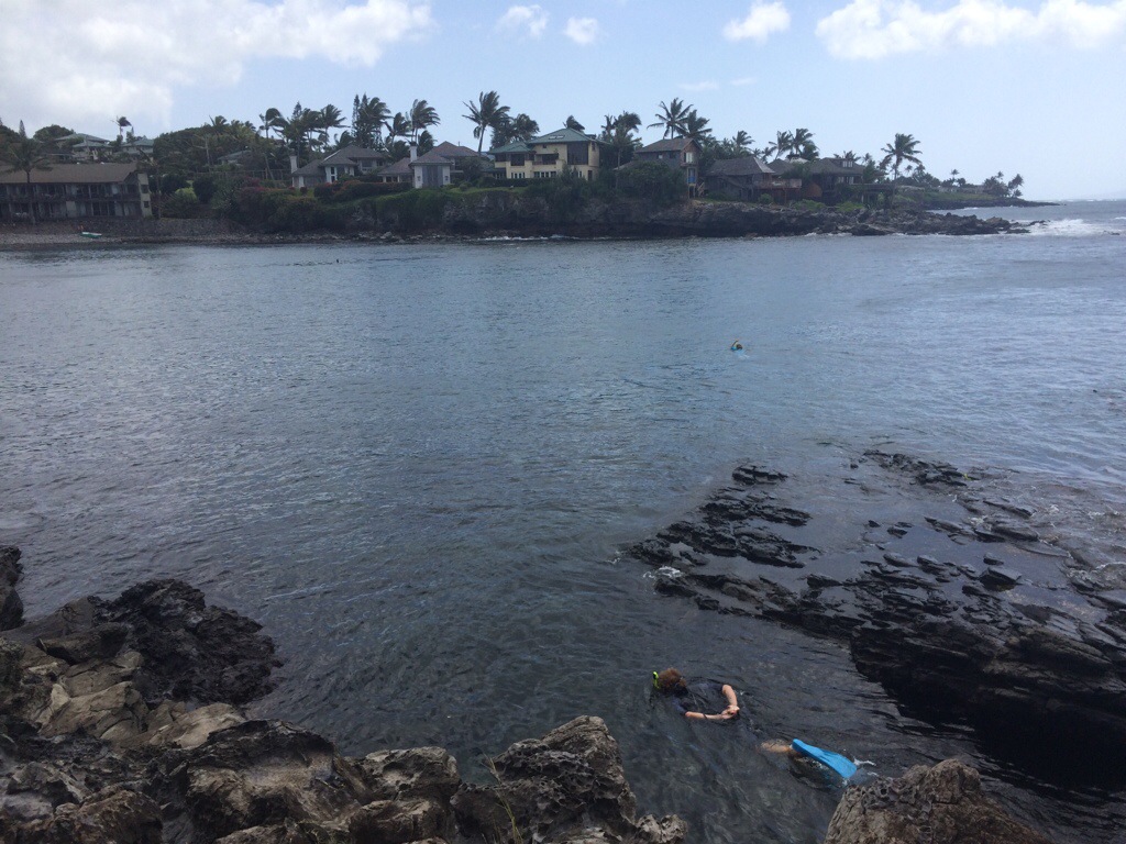 20140414-232632.jpg